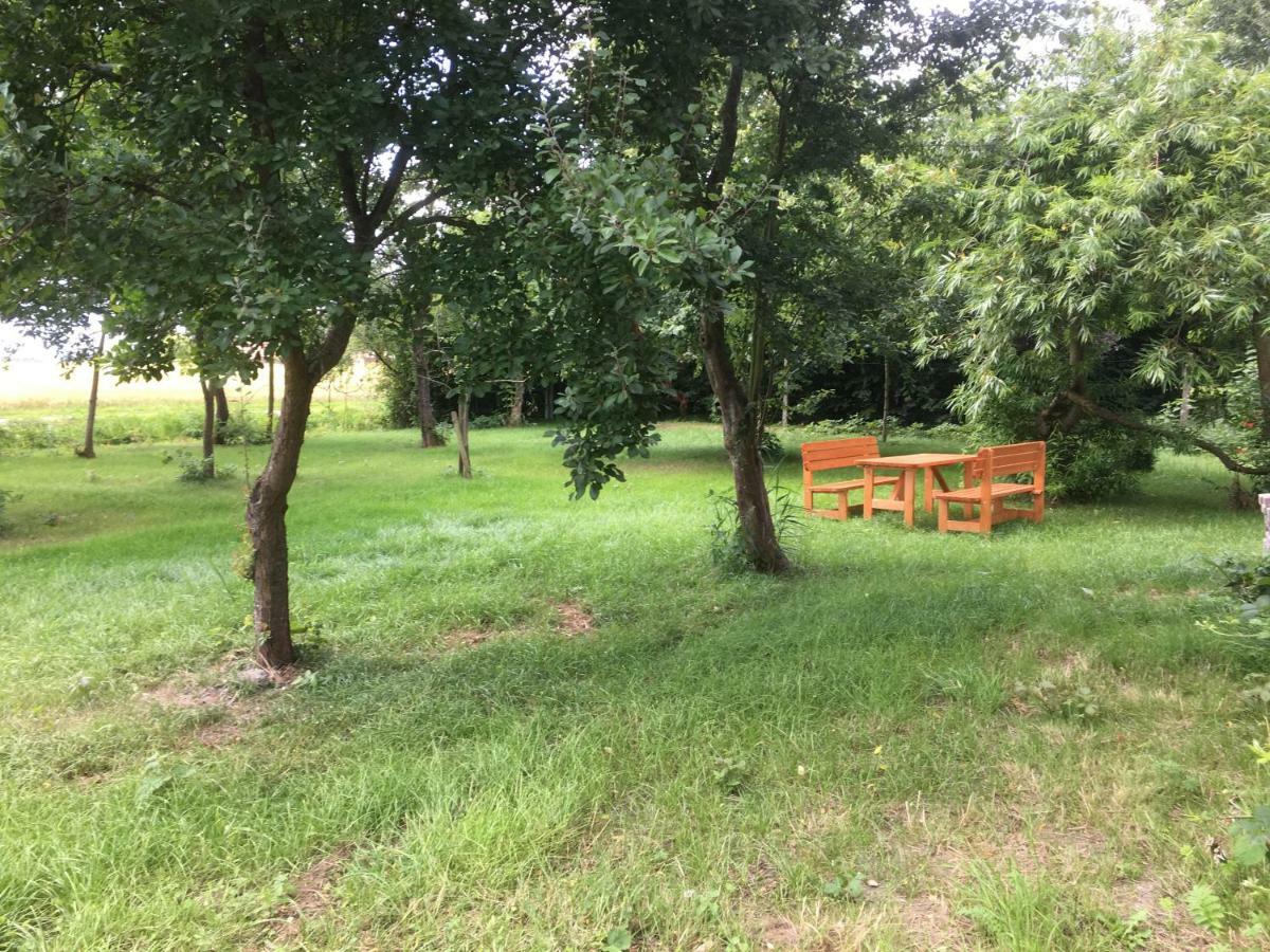 Marijanas Ferienhof 2, Urlaub Mit Viel Platz Zwischen Dornumersiel Und Bensersiel, Gehoert Zum Cafe Kunterbunt Holtgast Εξωτερικό φωτογραφία